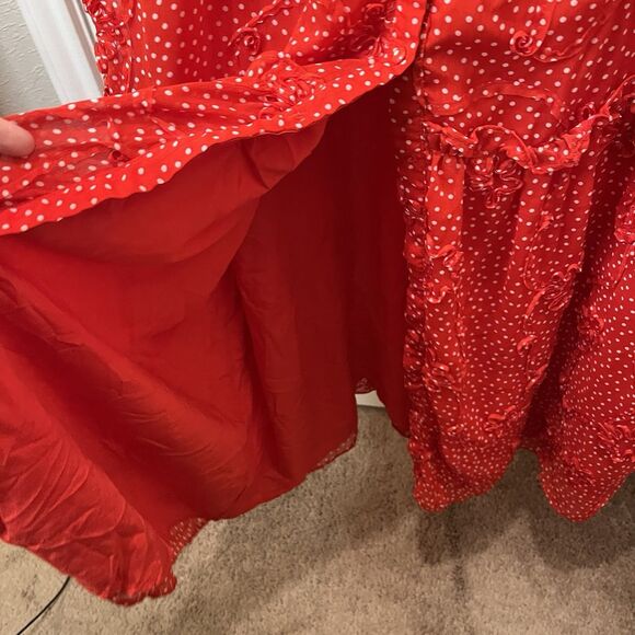Sunday in Brooklyn Floral Polka Dot Maxi Dress Women Size M Textured Button Red - Picture 7 of 12